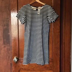 Black and white striped short-sleeved sheath dress